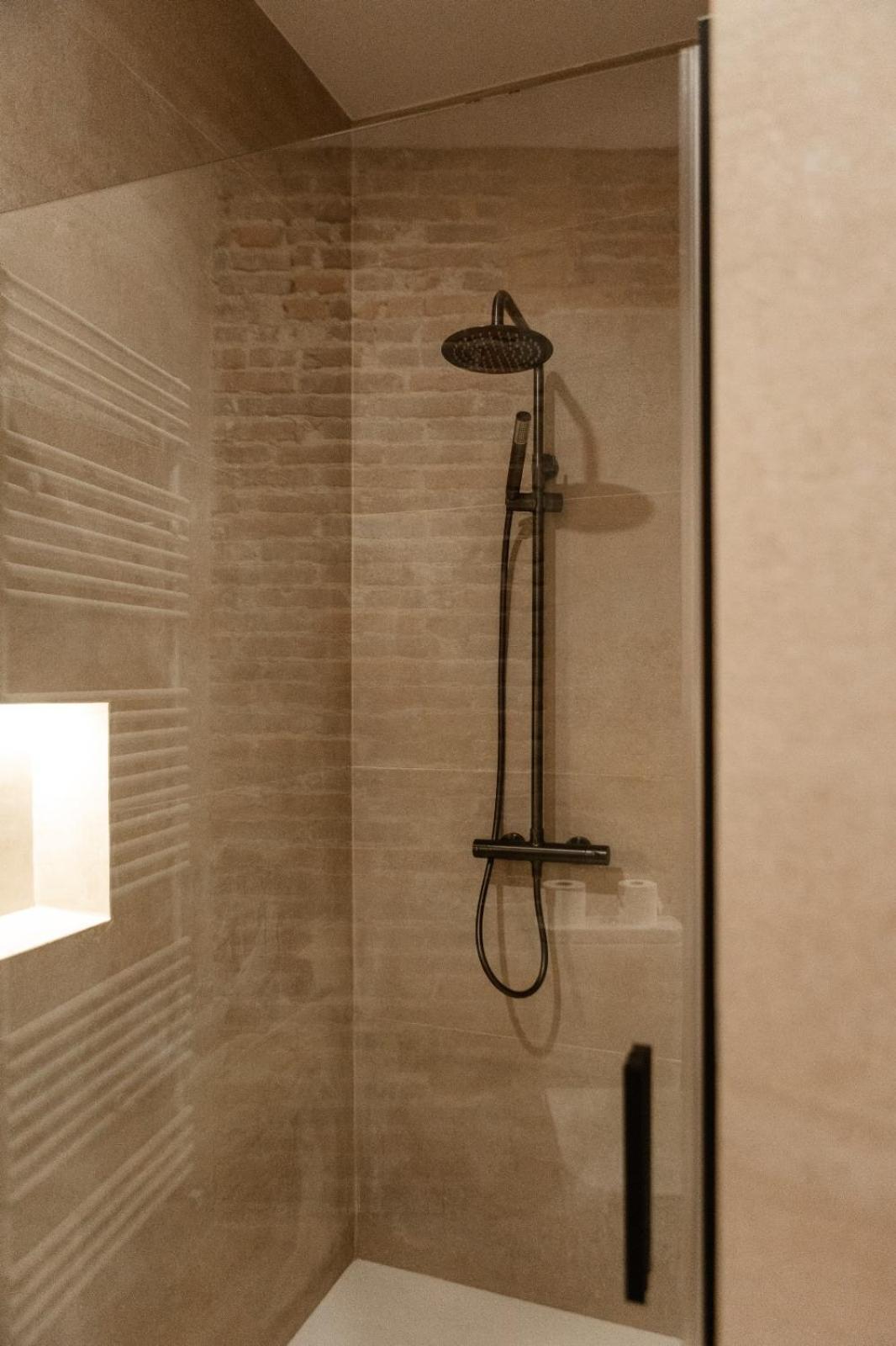 Albany Ancha Hotel Leon Bagian luar foto A shower rail